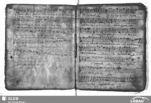 Finetti, Giacomo: Domus pudici pectoris