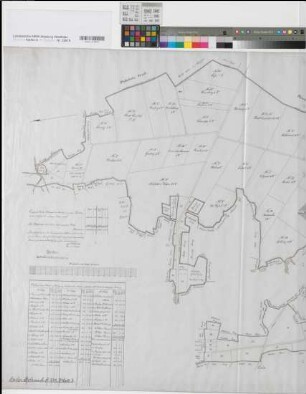 Coesfeld (Coesfeld), Teilung der Harler Holzmark, Teilungskarte Bl.3 - Kopie