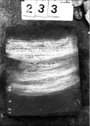 Grabstein 233