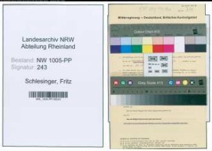 Entnazifizierung Fritz Schlesinger , geb. 06.01.1901 (Kaufmann)