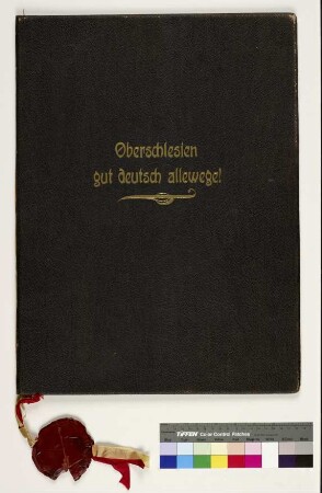 Ehrenurkunde für die Stadt Düsseldorf vom Verband Heimatreuer Oberschlesier