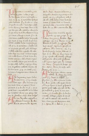 Medizinische Rezepte, lat. u. ital.