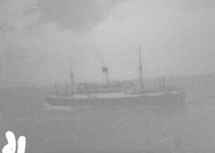 Schiff (Lateinamerika-Aufenthalte 1928/1942 – 1. Chile 1928)