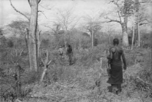 Marsch durch eine frische Rodung : Savannenlandschaft mit Bäumen und Personen