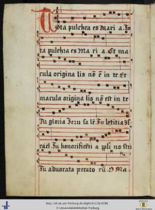 [140v - 141r] Antiphon: Tota pulchra es Maria & Oration: Defende quesumus domine beata Maria (Nachtrag).