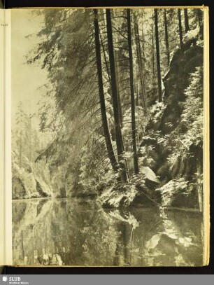 Obere Schleuse der Kirnitzsch