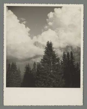 Auf der Seiser Alm