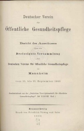 30: Mannheim vom 13. bis 15. September 1905