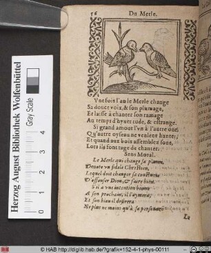 Du Merle.