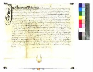 Hans von Westerstetten zu Drackenstein verkauft an Graf Rudolf zu Helfenstein, Freiherrn zu Gundelfingen, seine eigentümliche Gerechtigkeit auf den Bezirk Widderstall.