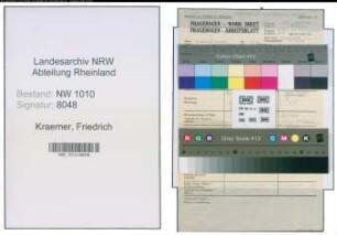 Entnazifizierung Friedrich Kraemer , geb. (Stahlproduktion)