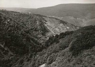 Morgenbachtal nordwestlich von Bingen. Im Hintergrund das Rheintal