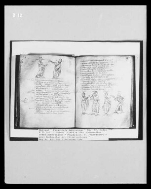 Terenz, Komödie / sogenannter Codex Ambrosianus — zwei Buchseiten mit Illustrationen