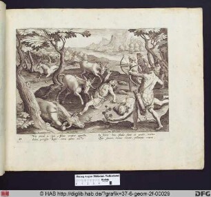Einhornjagd