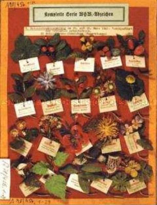 WHW-Abzeichen, Heilpflanzen, 7. Reichsstraßen- sammlung vom März 1941