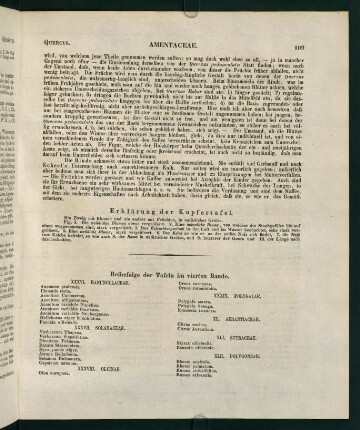 109-110, Reihenfolge der Tafeln im vierten Bande