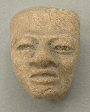 Tonkopf