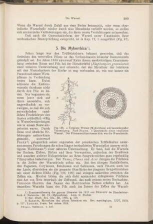 5. Die Mykorrhiza.