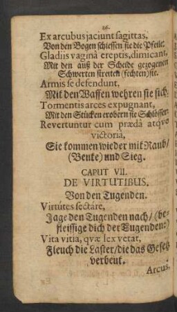 Caput VII. De Virtutibus.