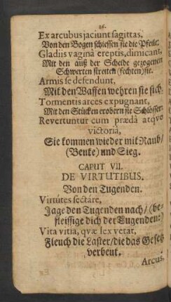 Caput VII. De Virtutibus.
