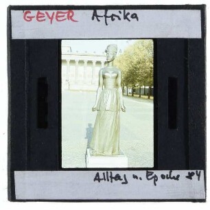 Geyer, Junges Afrika