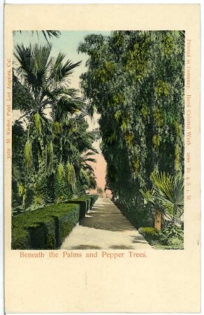 Beneath the Palms and Pepper Trees