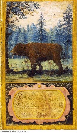 Diesen Behr haben Ihre Churfürstl. Durchl. ...den 12. Novembris 1628 gefangen