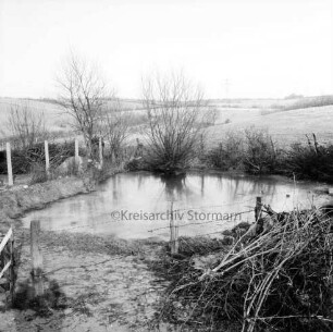 Dorfteich: vorn und hinten Zaun: am Ufer Weiden und Sträucher: hinten Knicklandschaft