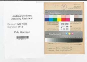Entnazifizierung Hermann Falk , geb. 10.12.1900 (Ingenieur)