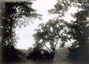 "Blick auf die Arava-Bucht."