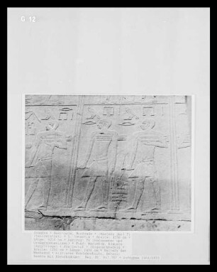 Mastaba des Ti — Pfeilerhof — Relief