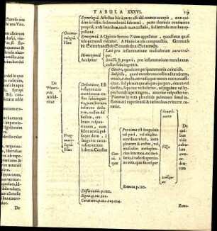 Tabula XXXVI.