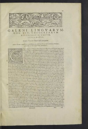Galeni linguarum