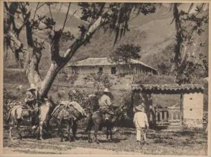 Höhenzug (Lateinamerika-Aufenthalte 1928/1942)