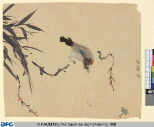 Vogel und Libelle
