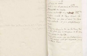Notizen von Karoline Luises Hand.