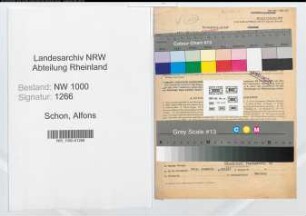 Entnazifizierung Alfons Schon, geb. 14.06.1894 (Verw.Inspektor)