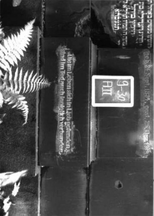 Grabstein A II/9/30 (Detailaufnahme 2)