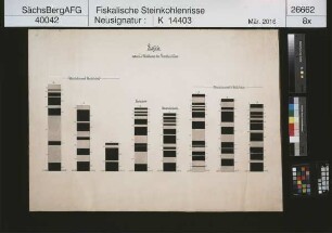 Bockwa und Oberhohndorf, Profile des Planitzer Flözes 1
