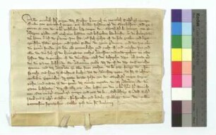 [Text = 1370 Januar 16]. Mit Eid besagt vor Rorich von Sterrenberg, Kämmerer, Schultheiß Rudolf, und den Richtern Jakob und Gottfried. "Publicatum 1370, sabbato post diem sancti Anthonii".
