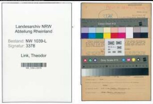 Entnazifizierung Theodor Link , geb. 03.11.1900 (Polizist)
