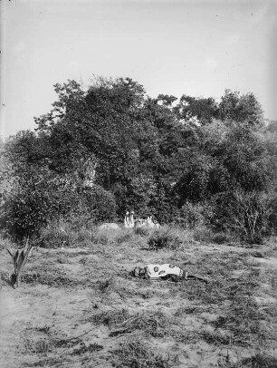 Muslimische Grabstätten (Deutsch-Ostafrikaexpedition 1906-1907)