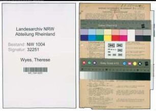 Entnazifizierung Therese Wyes , geb. 21.09.1920 (Bueroangestellte)
