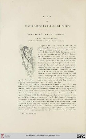 24: Études et compositions de fleurs et fruits