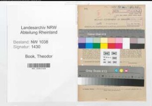 Entnazifizierung Theodor Book , geb. 04.06.1908 (Angestellter)