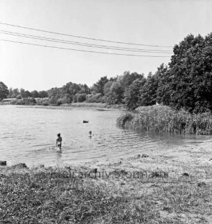 Lütjensee: vorn Badestelle: im Wasser zwei Kinder: rechts Schilf: am gegenüberliegenden Ufer Bäume: oben Stromleitungen