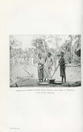 Aboriginal women husking padi (showing end-view of mortar), Ulu Klau, Pahang