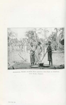 Aboriginal women husking padi (showing end-view of mortar), Ulu Klau, Pahang