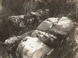 Nordsächsisches Tiefland. Vom Inlandeis geglätteter Quarzporphyr, Dewitzer Berg bei Taucha