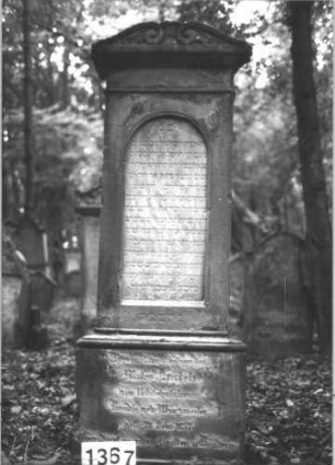 Grabstein 1367 (Index: 99900295) Material: Sandstein Zustand: stark verwittert Maße HxBxT: 163x60x25 cm Beschreibung: aufgesockelte Stele mit Giebelaufsatz mit Voluten Symbolik: Voluten: Grabstein 1367